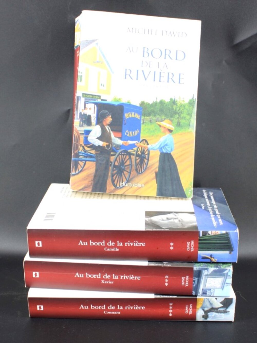 Lot 4 Livres Michel David - Au Bord De La Rivière Tome 1-4 French